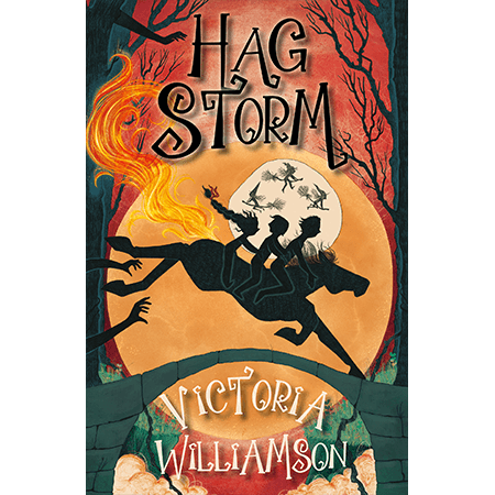 Front cover of Hag Storm by Victoria Williamson